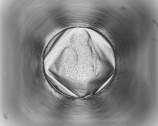 X0000101421379200807280928