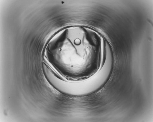 X0000101421380200807280928