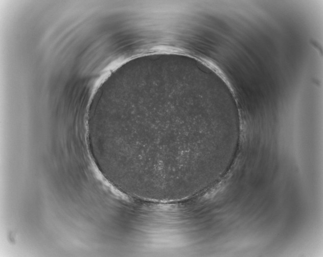 X0000101421381200807280928