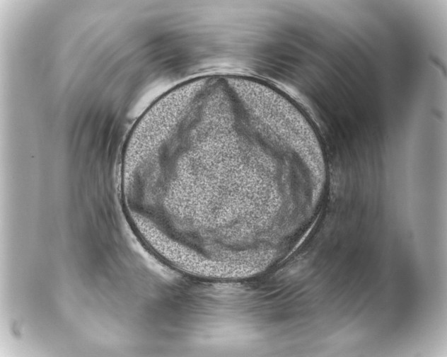 X0000101421383200807280928