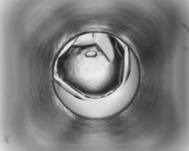 X0000101421384200807280928