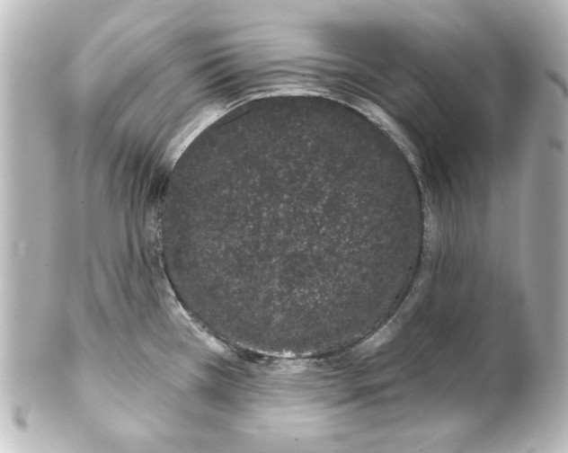 X0000101421385200807280928