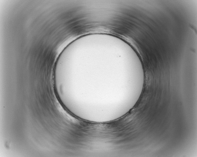 X0000101421387200807280928