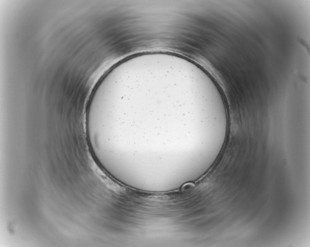 X0000101421388200807280928