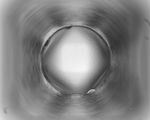 X0000101421389200807280928