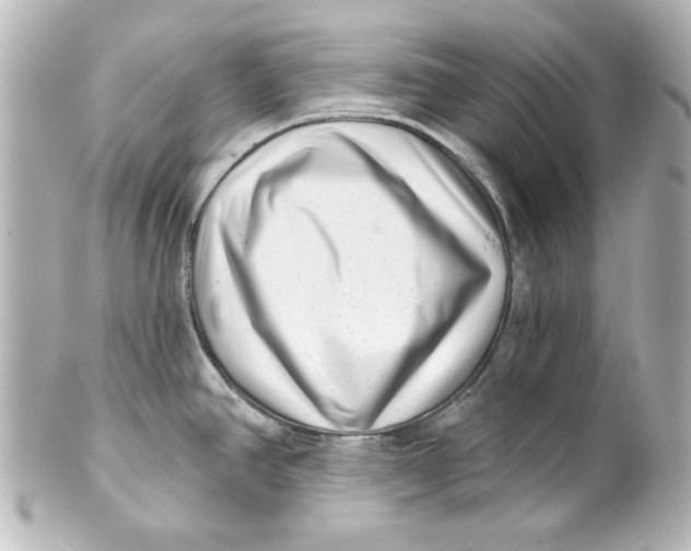 X0000101421390200807280928