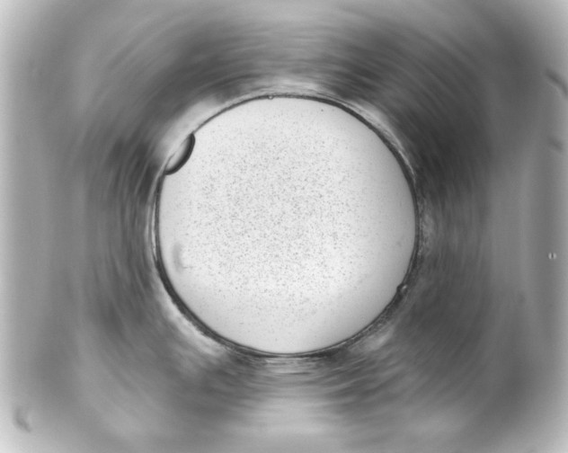 X0000101421391200807280928