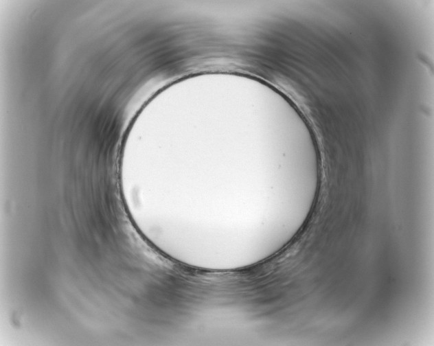 X0000101421392200807280928