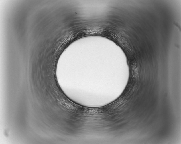 X0000101421393200807280927