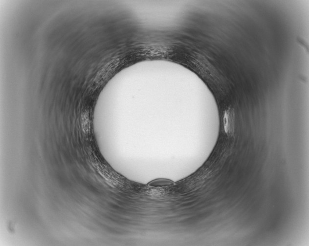 X0000101421395200807280927