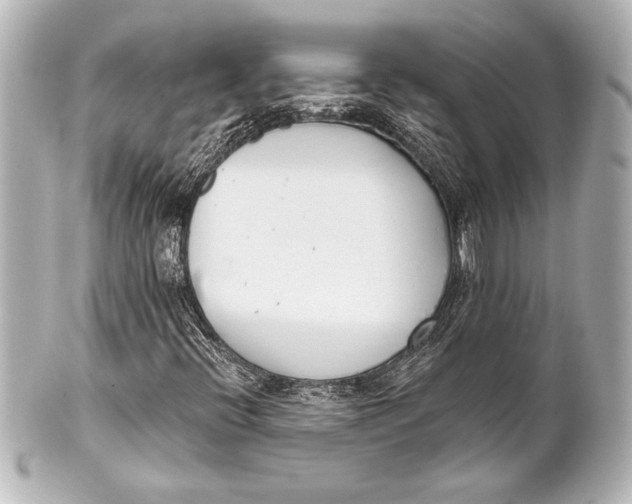 X0000101421396200807280927