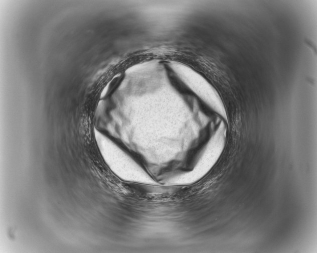 X0000101421398200807280927