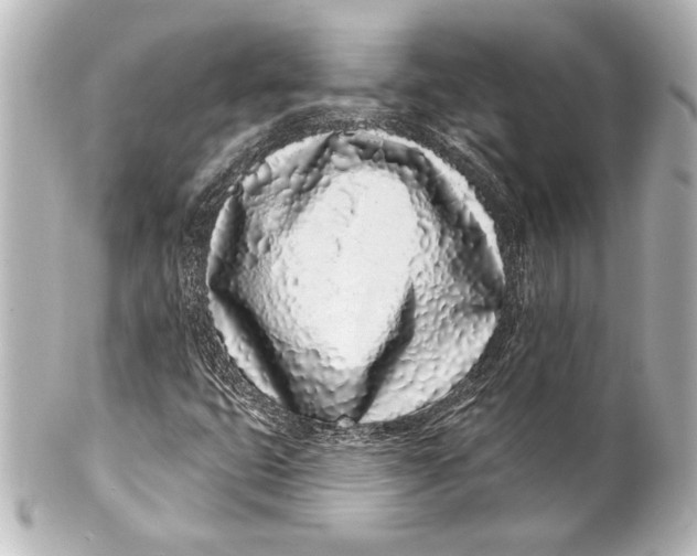 X0000101421399200807280927
