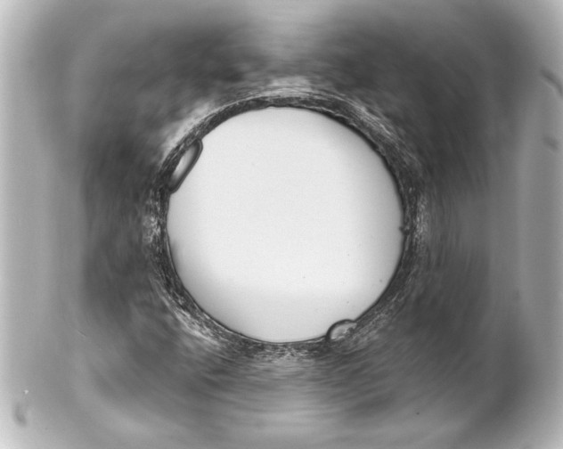 X0000101421400200807280927