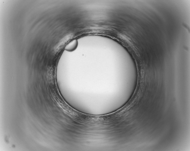 X0000101421403200807280927