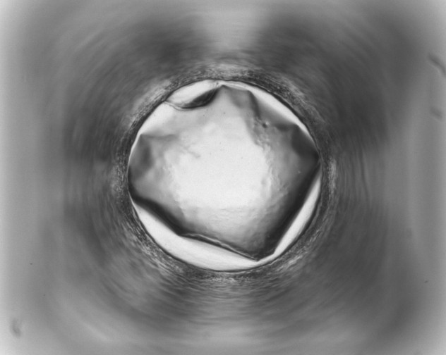 X0000101421405200807280927