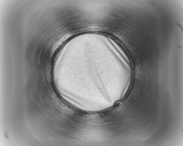 X0000101421410200807280927