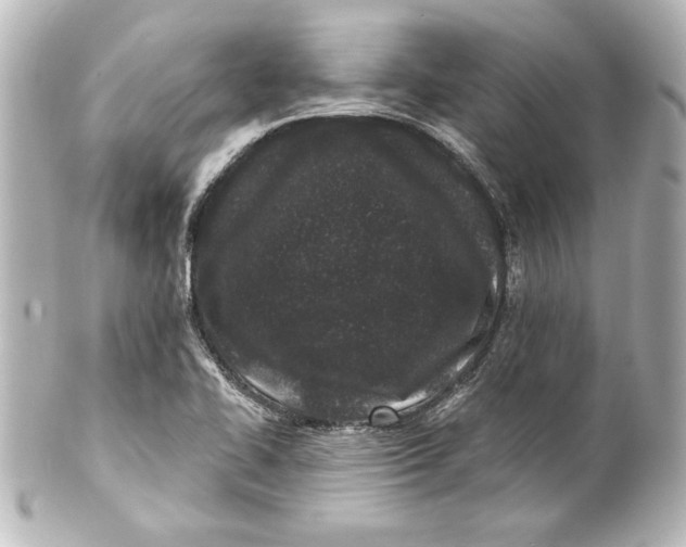 X0000101421414200807280927