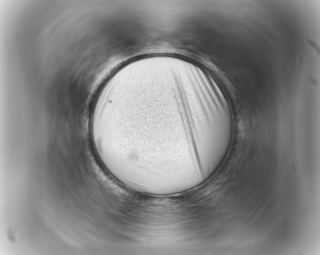 X0000101421416200807280927