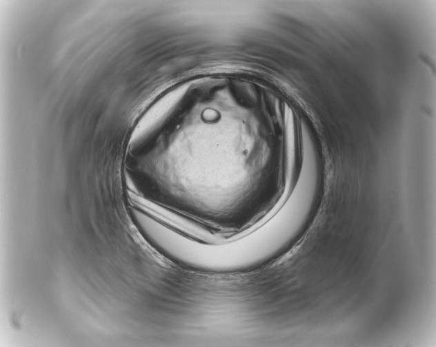 X0000101421417200807280927
