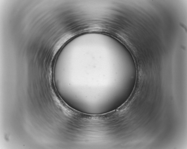 X0000101421418200807280927