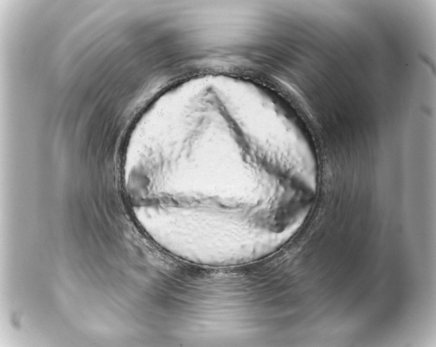 X0000101421419200807280927