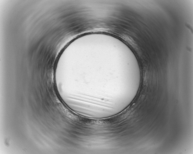 X0000101421420200807280927