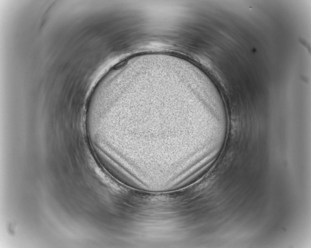 X0000101421421200807280927