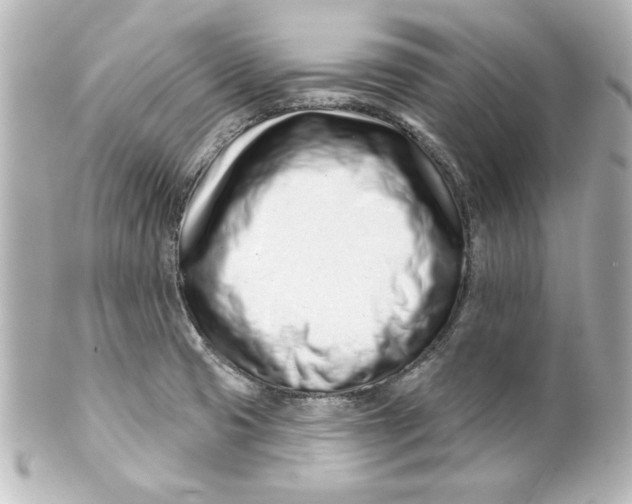 X0000101421425200807280927