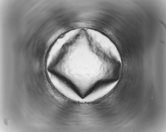 X0000101421427200807280927