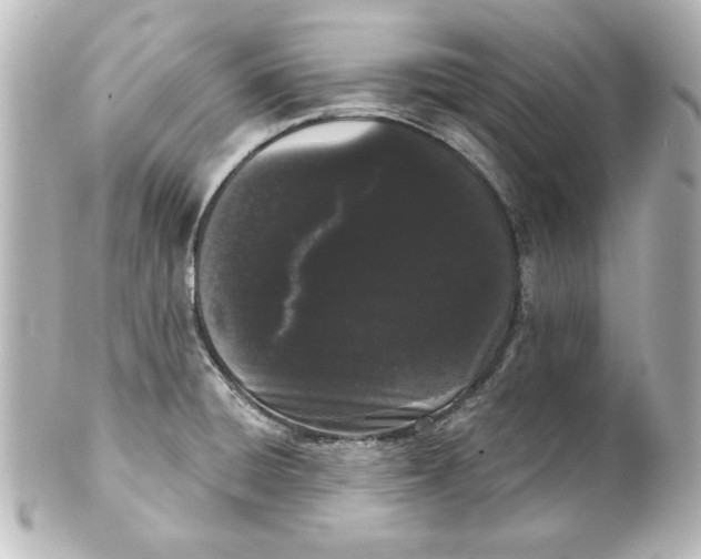 X0000101421428200807280927