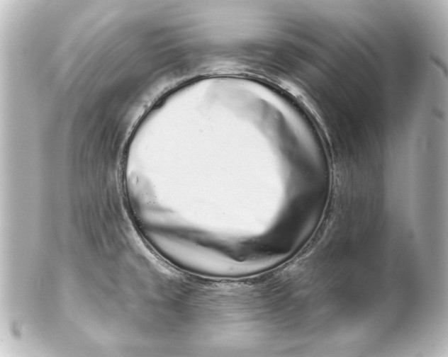 X0000101421429200807280927