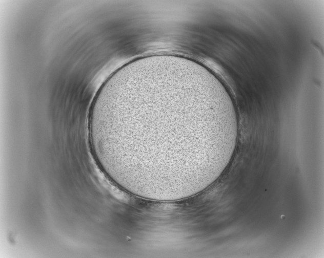 X0000101421431200807280928
