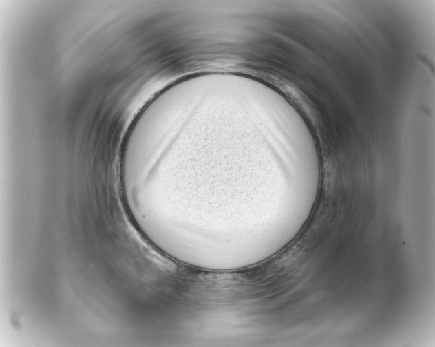 X0000101421432200807280928