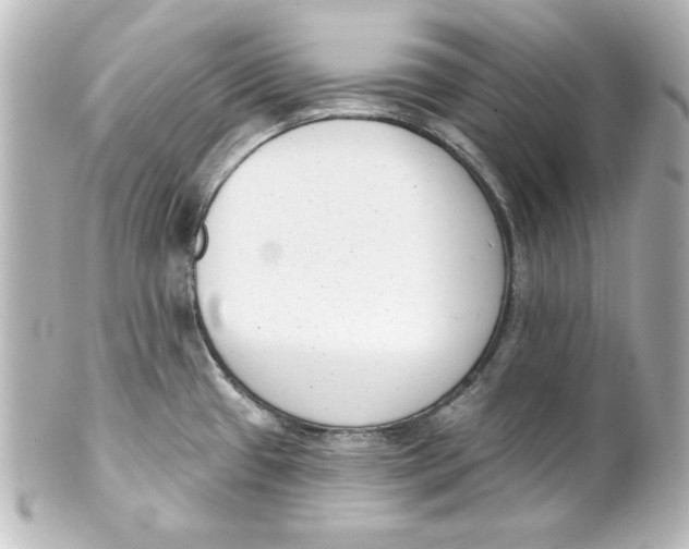 X0000101421433200807280928