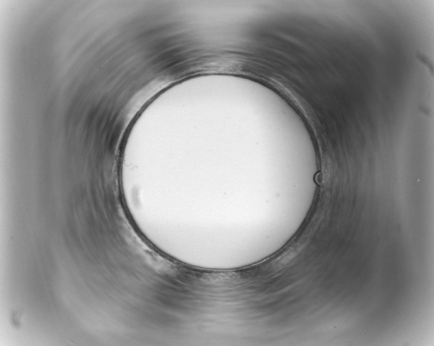 X0000101421434200807280928