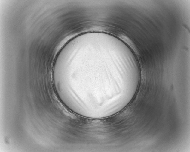 X0000101421436200807280928