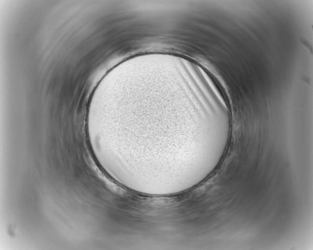 X0000101421437200807280928