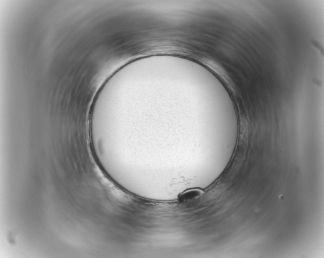 X0000101421439200807280928