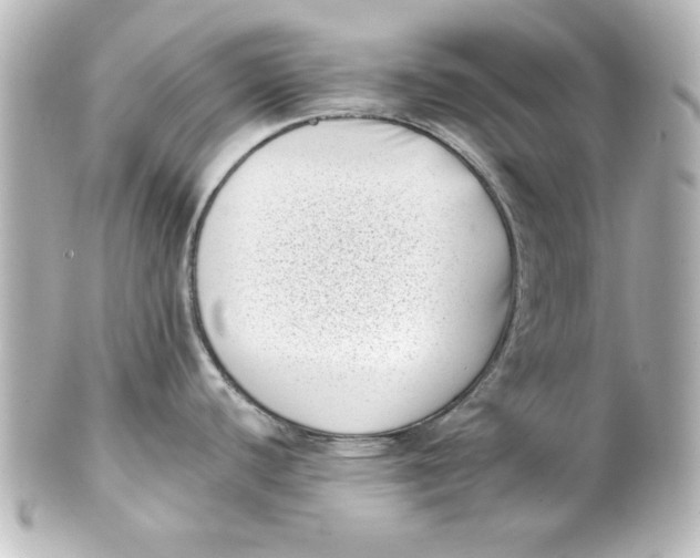 X0000101421440200807280928
