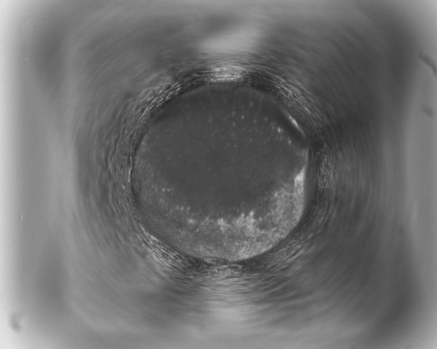 X0000101421441200807280927