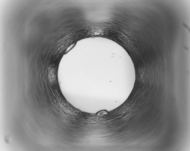 X0000101421442200807280927