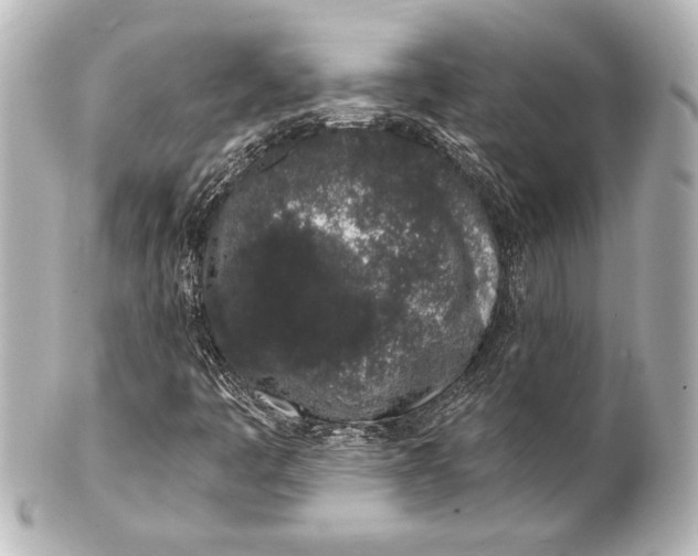 X0000101421445200807280927