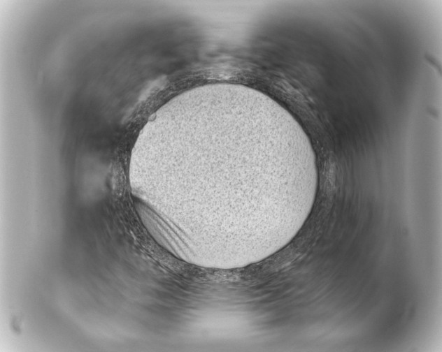 X0000101421446200807280927