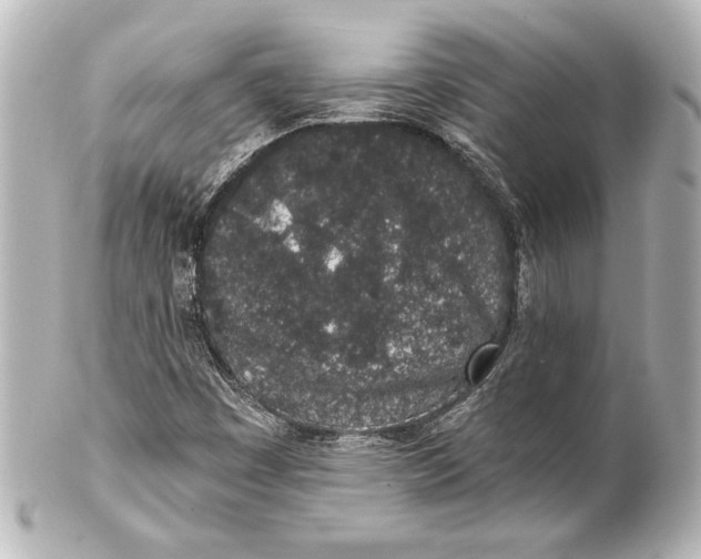 X0000101421449200807280927