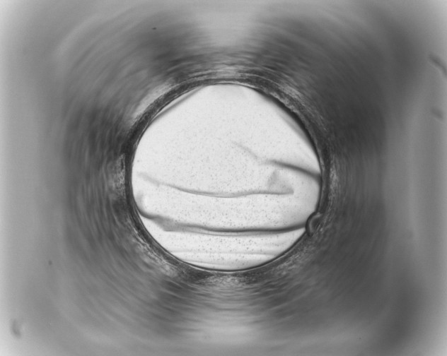 X0000101421450200807280927