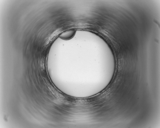 X0000101421451200807280927