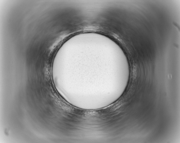 X0000101421454200807280927