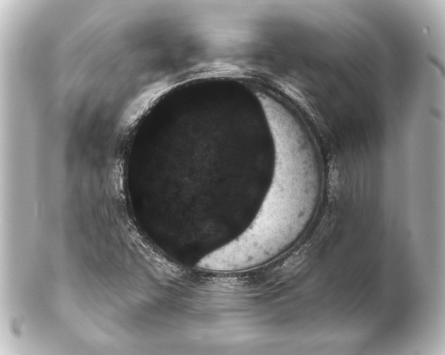 X0000101421455200807280927
