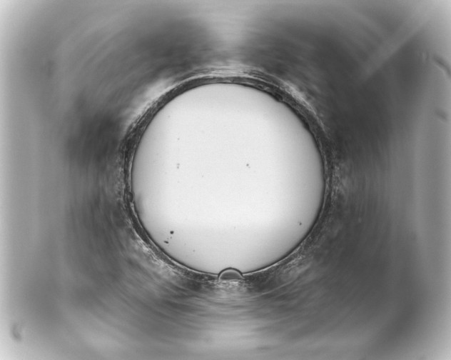 X0000101421456200807280927